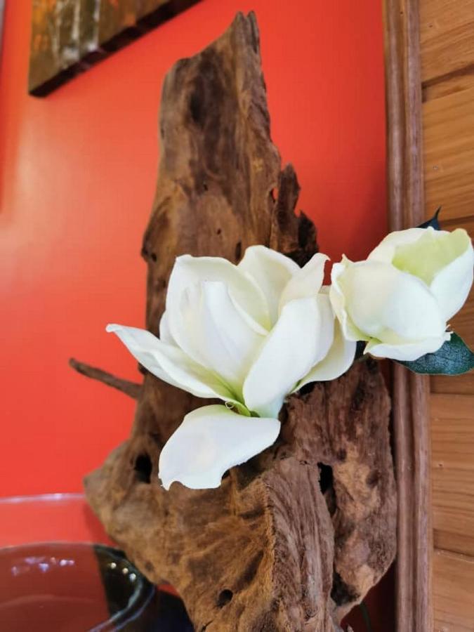 My Home Apartment - Villa Dahlia Apartment مرتفعات كاميرون المظهر الخارجي الصورة